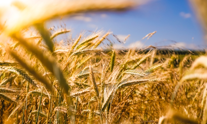 Fare un’esperienza di vacanza alternativa: 3 idee per i più giovani Forexchange