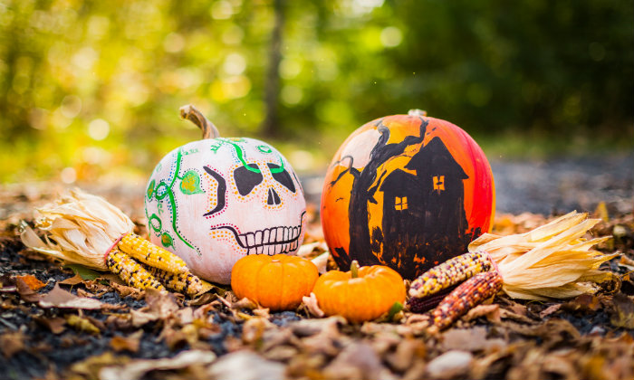 4 posti da vedere ad Halloween in Europa nel 2018 Forexchange