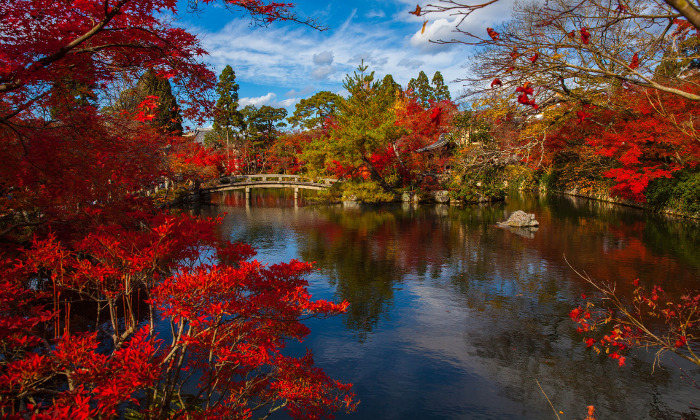 I luoghi da vedere in autunno per ammirarne la magia Forexchange