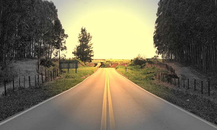 Viaggio in Svezia: le 5 cose da sapere prima di partire Forexchange