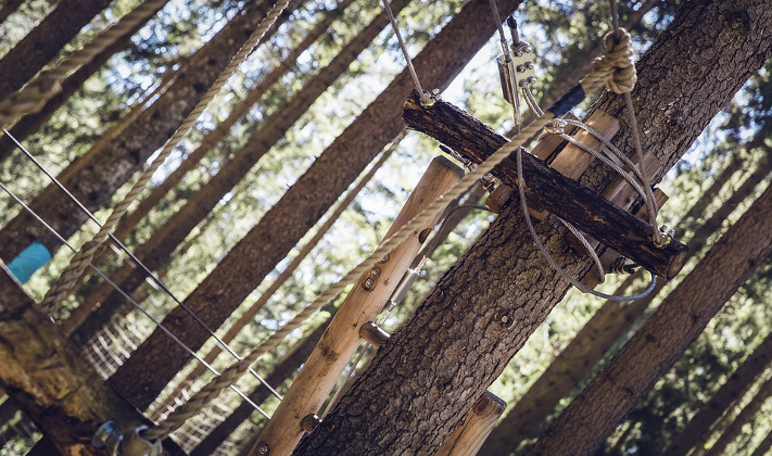 Svizzera: i 3 parchi avventura ideali per viaggiare con i bambini Forexchange