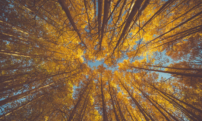 Andare in vacanza ad ottobre: 3 mete splendide in autunno Forexchange