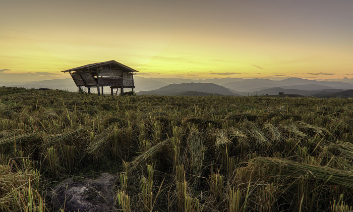 Quali sono le vaccinazioni utili per la Thailandia? Forexchange