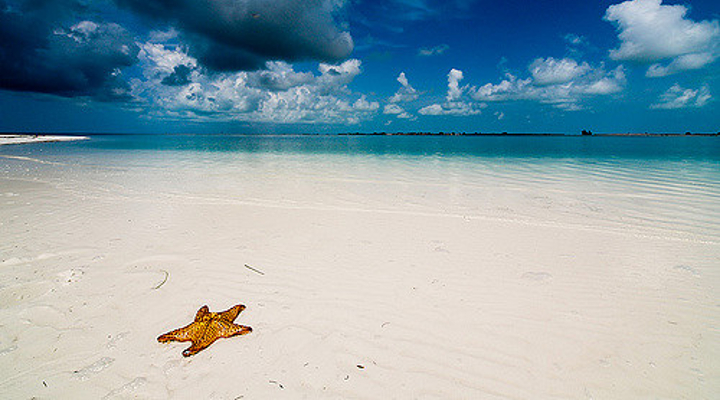 Tutti i documenti da avere in occasione del vostro prossimo viaggio ai Caraibi Forexchange