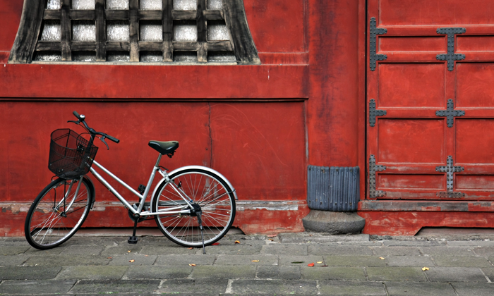 Bicicletta Forexchange