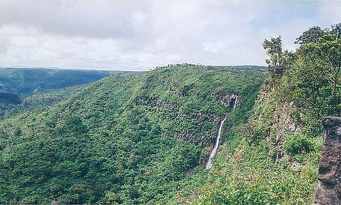I paesaggi del Black River Gorges National Park Forexchange