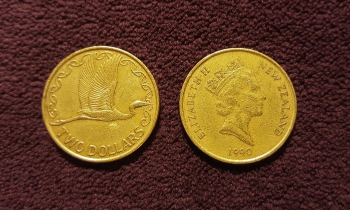 Cambio euro dollaro neozelandese: le informazioni utili per un cambio conveniente Forexchange