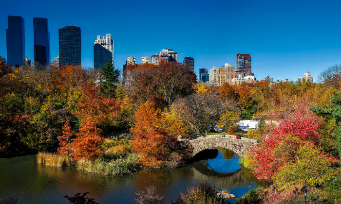 Le 5 città più filmate in tutta la storia del cinema Forexchange