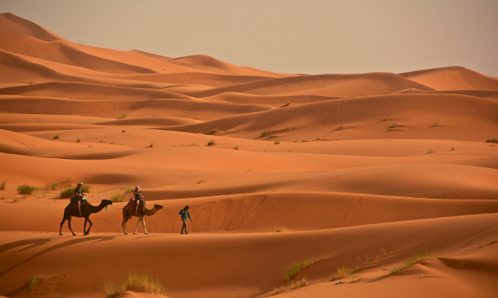 Le informazioni utili per un viaggio in Marocco: dai documenti alla moneta Forexchange
