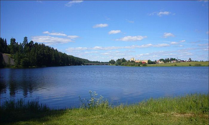 Le tradizioni della festa dell’estate in Svezia Forexchange