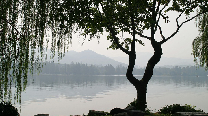 I film più belli girati in Cina: un viaggio spettacolare Forexchange