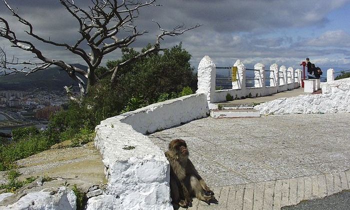 Un viaggio tra le curiosità di Gibilterra Forexchange