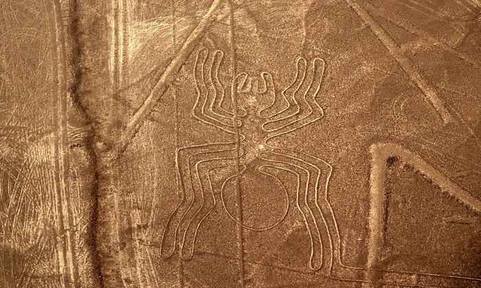 Perù: le linee di Nazca, tra mistero e meraviglia Forexchange