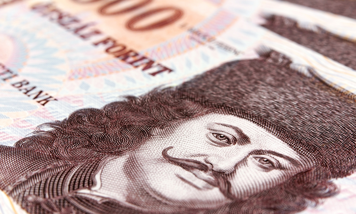 Moneta locale e banche Forexchange