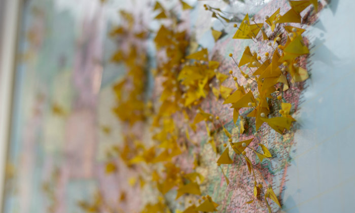 La mappa dei Paesi che non hanno donne sulle banconote Forexchange