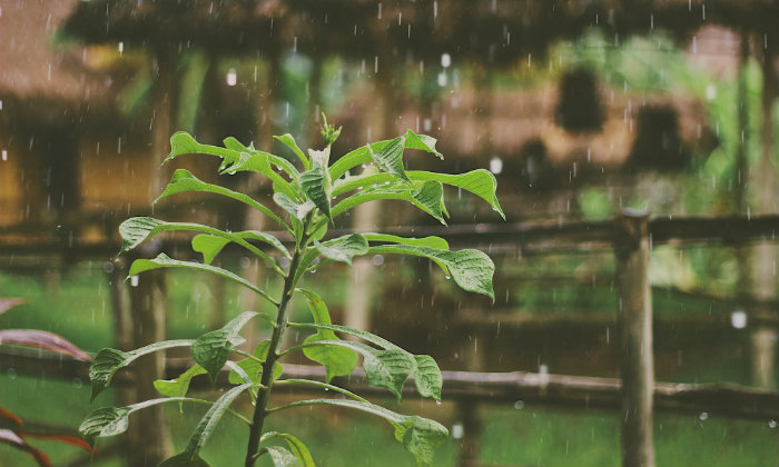 Organizzare un viaggio in India: quando è meglio partire Forexchange