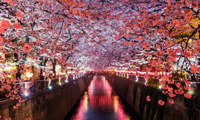 Viaggio in Giappone: quanti soldi portare per 10 giorni Forexchange