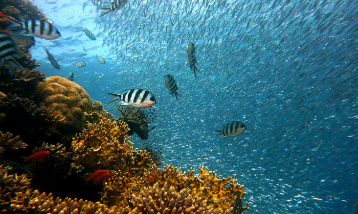 Quanto costa una vacanza a Sharm El Sheikh Forexchange