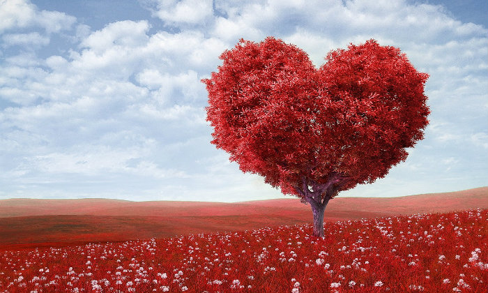 San Valentino che non ti aspetti: 5 tradizioni dal mondo Forexchange