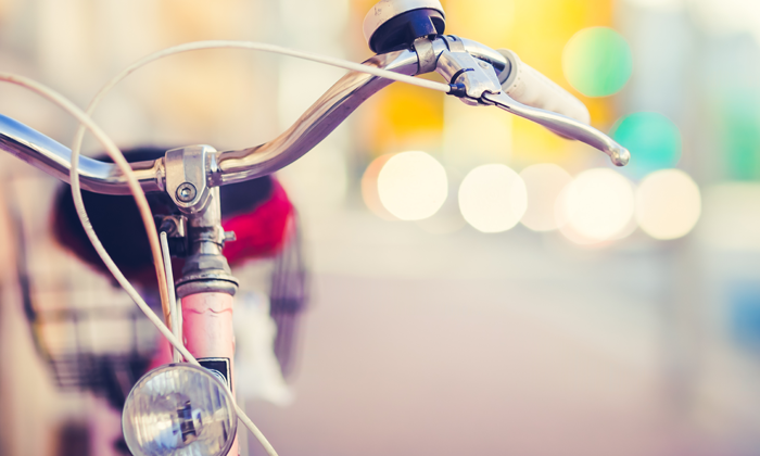 Bicicletta Forexchange